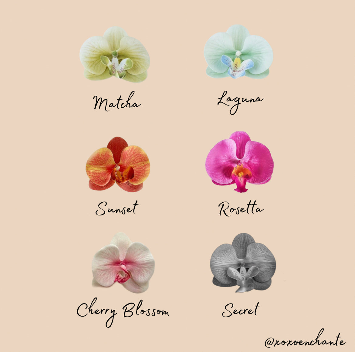 Orchid Keychain Blind Bags